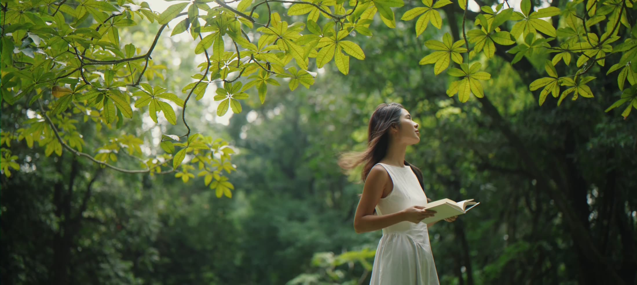 A woman reading in a sunlit forest