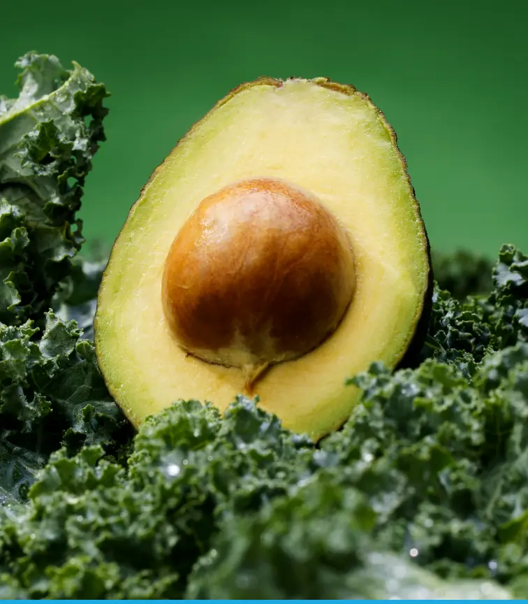 Avocado on kale