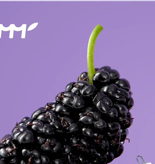 Black mulberry