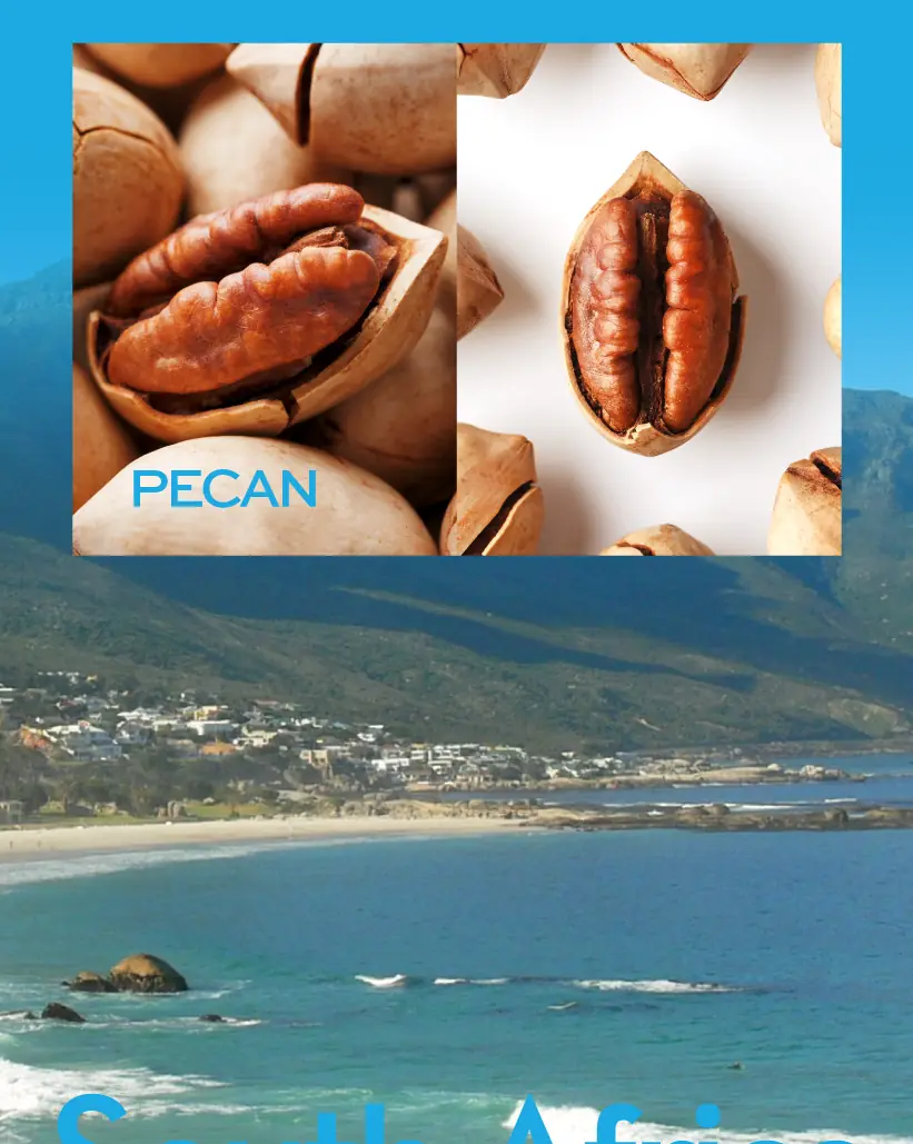 Pecans and the South African coast