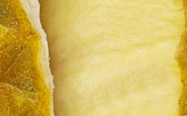 D24 durian
